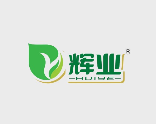 輝業(yè)打造全新響應式網站